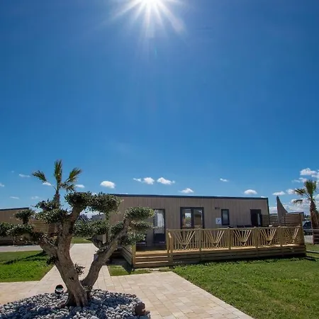 M&v Kemp